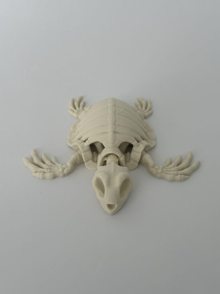 Skeleton Mini – 3D-geprint