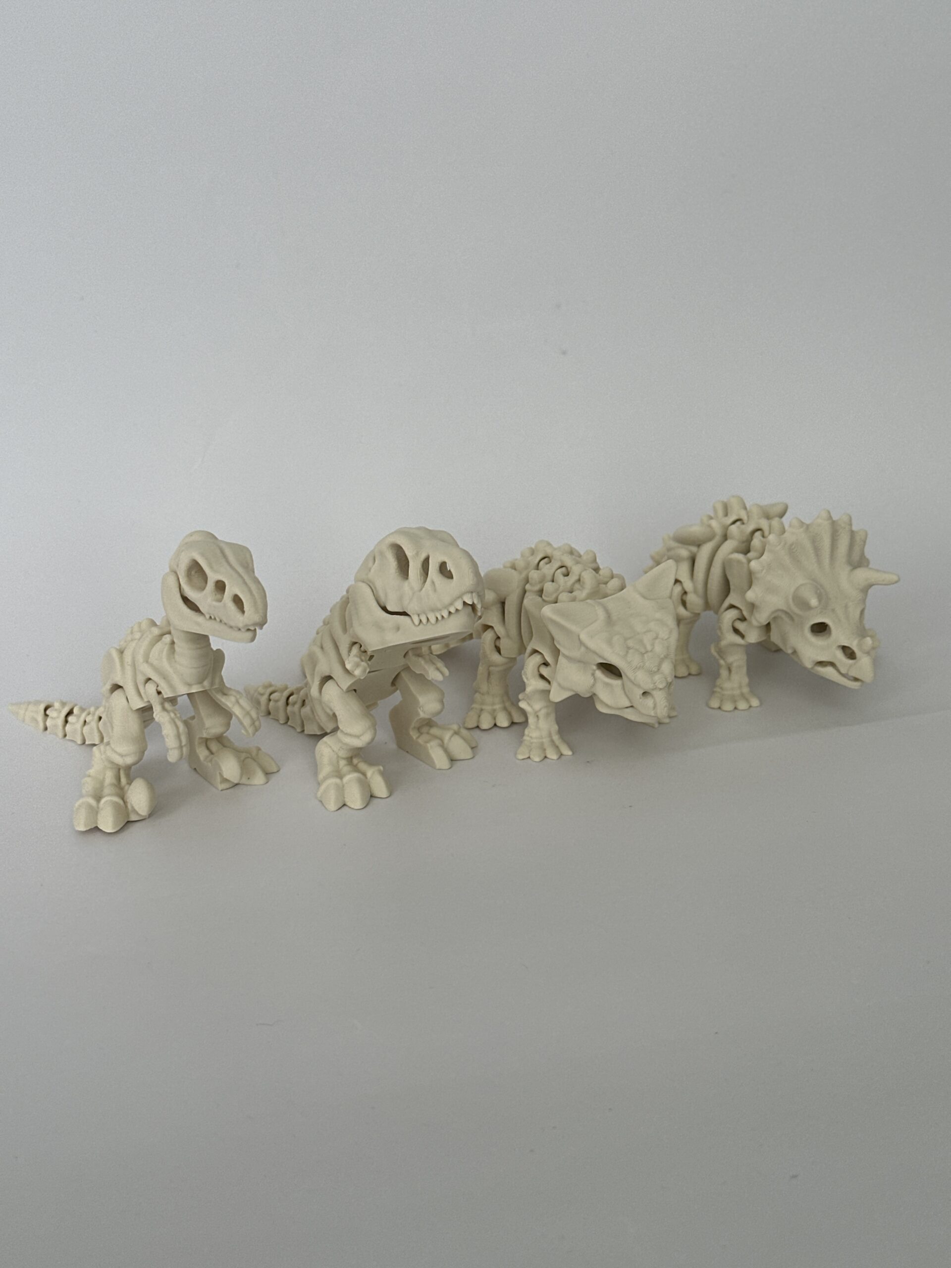 Skeleton Mini – 3D-geprint - Afbeelding 2