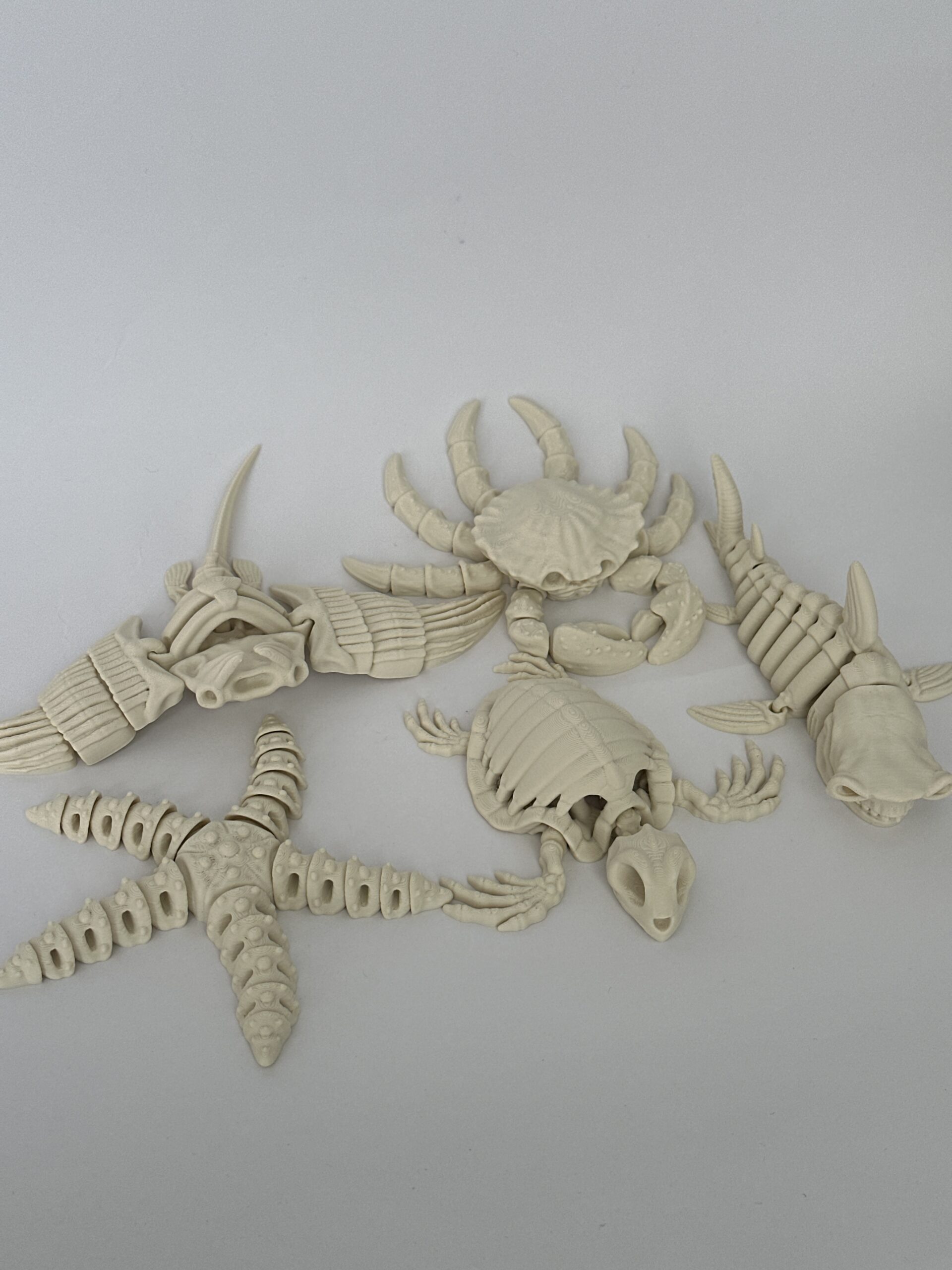 Skeleton Mini – 3D-geprint - Afbeelding 1