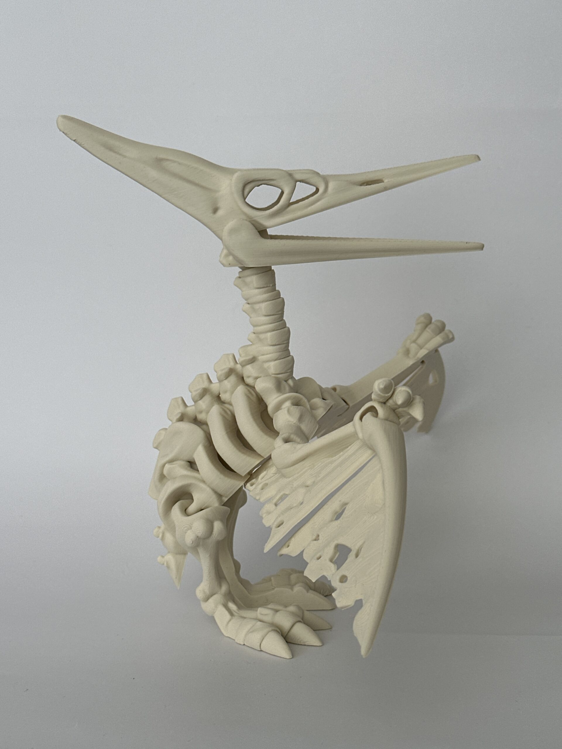 Skeleton – 3D-geprint - Image 3