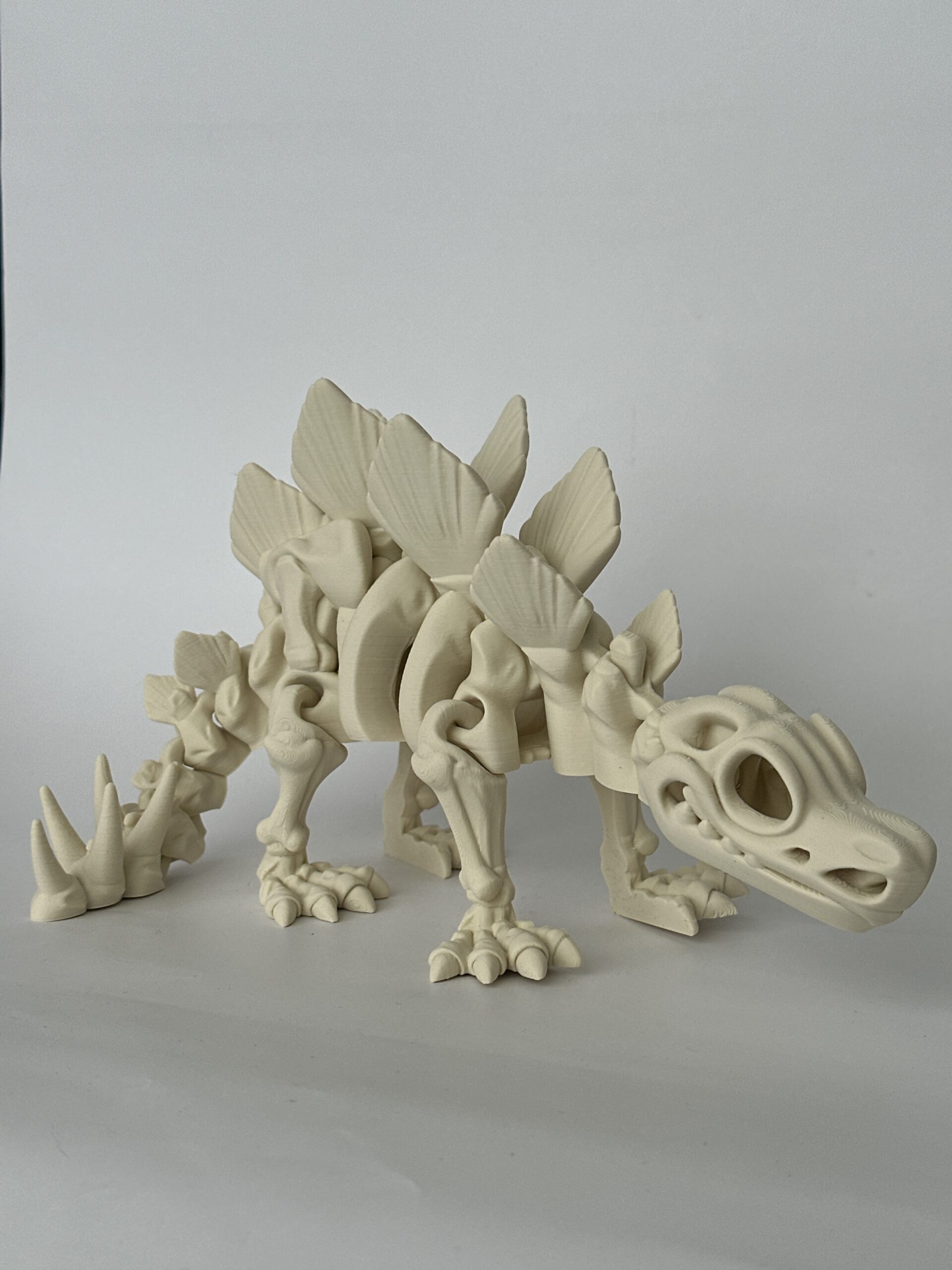 Skeleton – 3D-geprint - Image 4