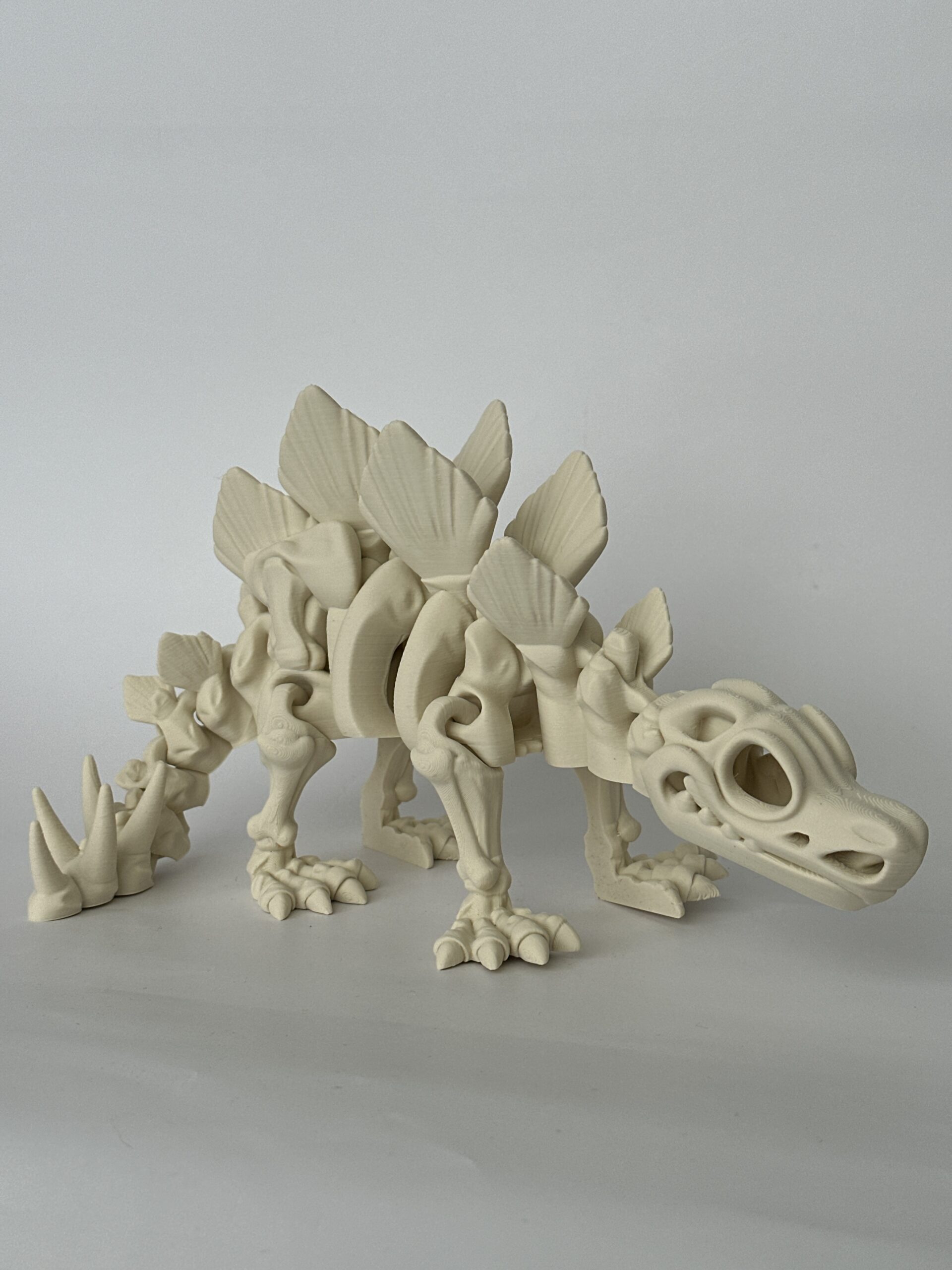 Skeleton – 3D-geprint - Image 9