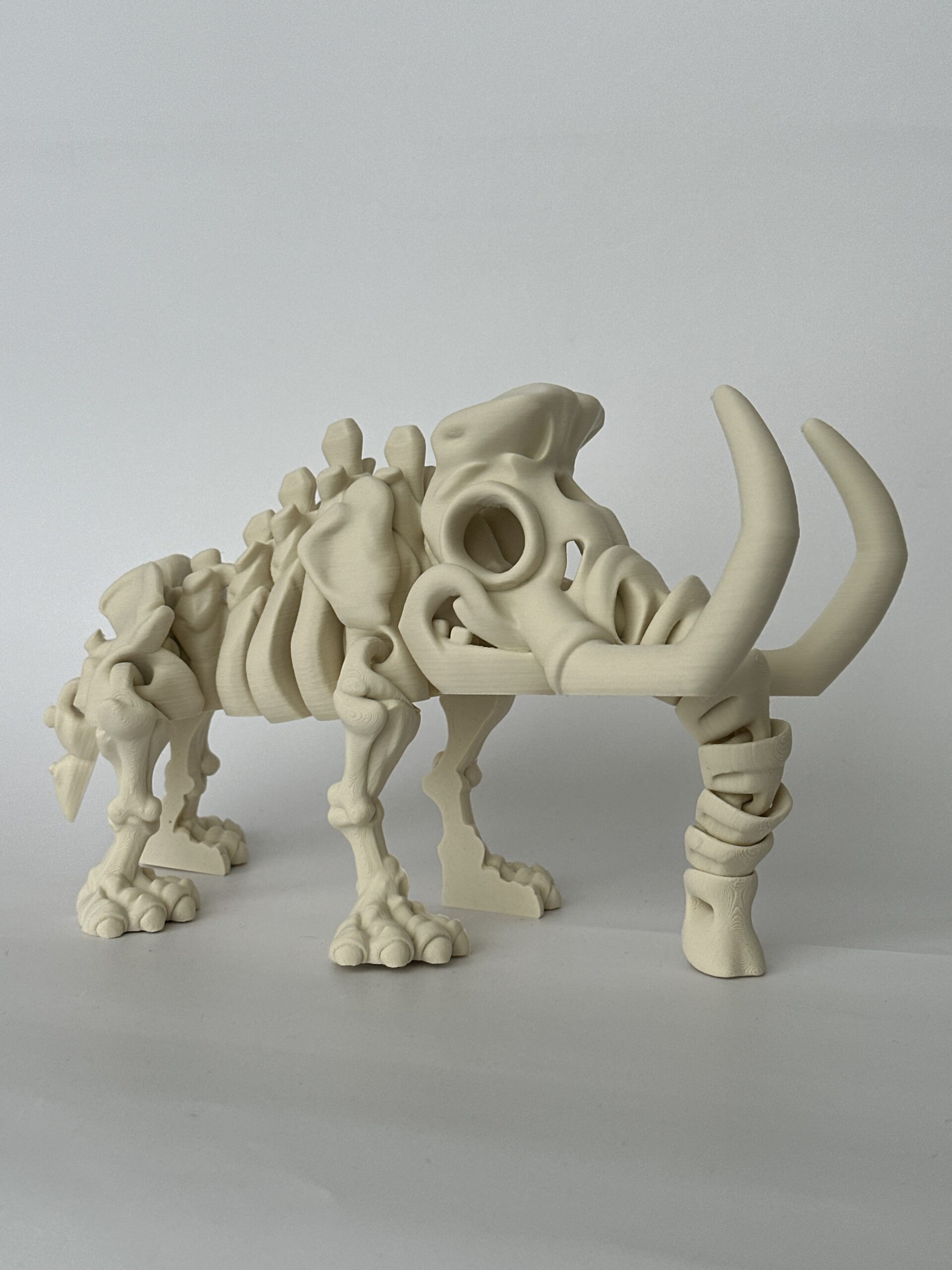 Skeleton – 3D-geprint - Image 5