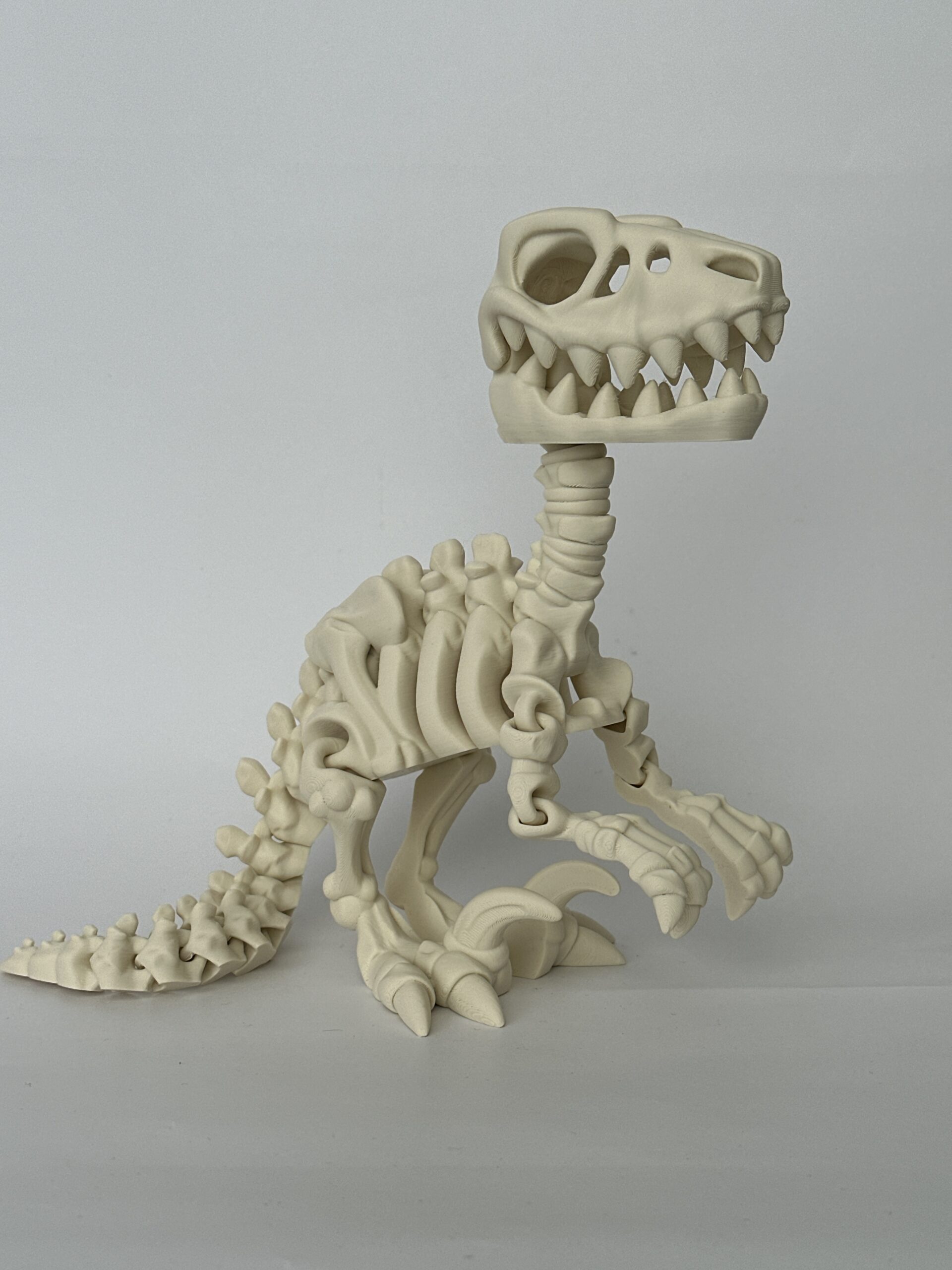 Skeleton – 3D-geprint - Image 6