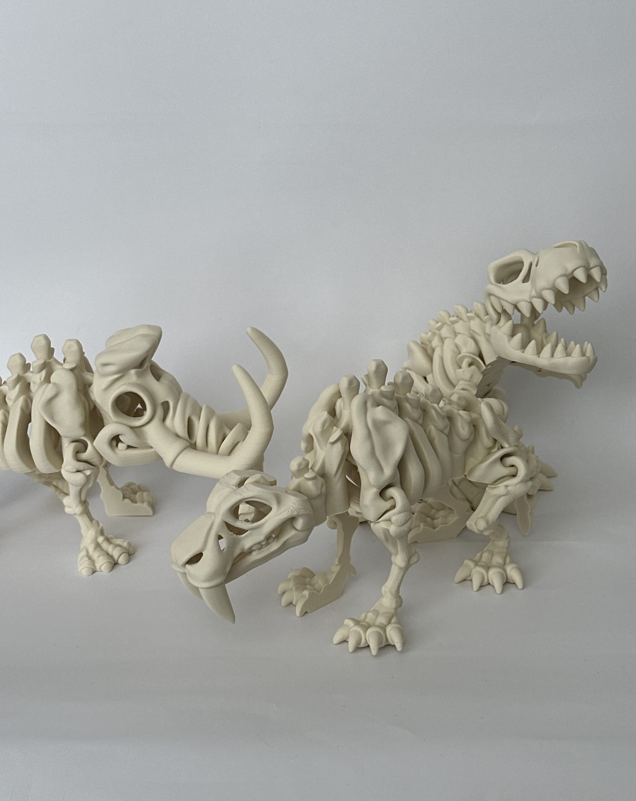 Skeleton – 3D-geprint - Image 1